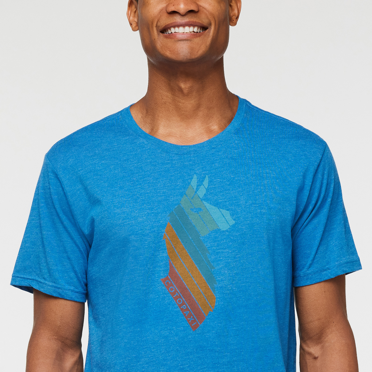 Llama Stripes T-Shirt - Men's