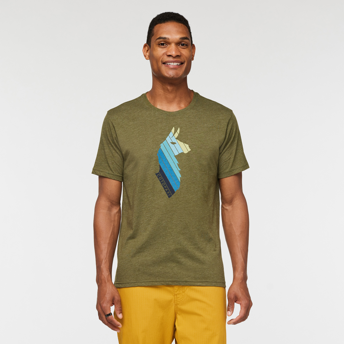 Llama Stripes T-Shirt - Men's