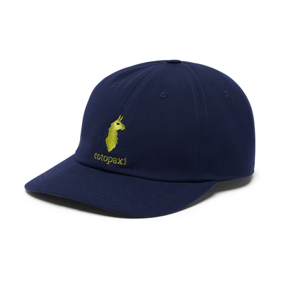 Cotopaxi Dad Hat