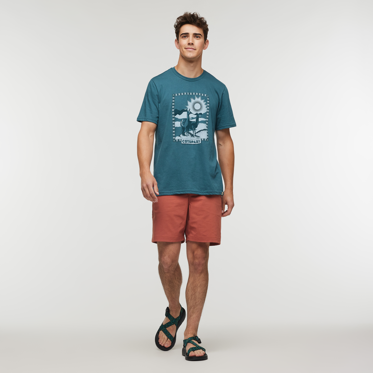 Llama Greetings T-Shirt - Men's