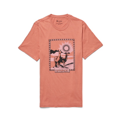 Llama Greetings T-Shirt - Men's